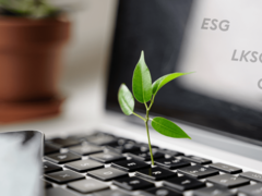 Berichtspflicht, EU-Richtlinien und Chancen: Nachhaltigkeit verständlich erklärt